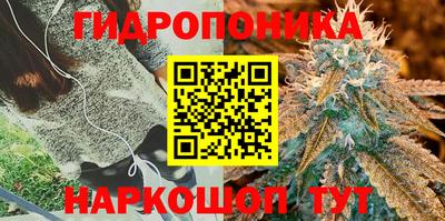 стафф Ярцево