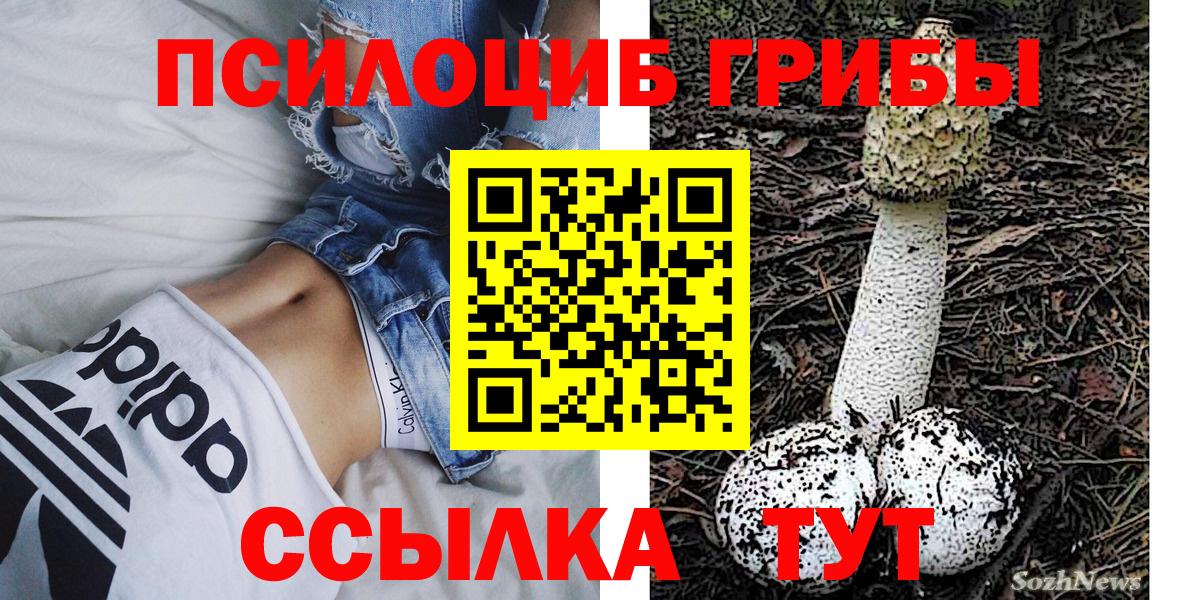 купить наркоту  Вход с VPN  Баксан  Псилоцибиновые грибы мицелий 
