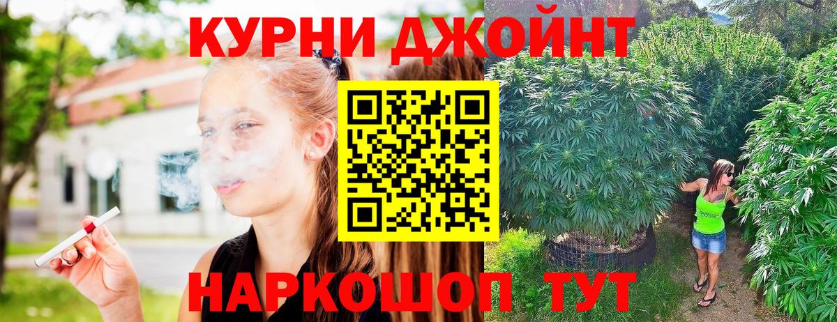 Бошки марихуана сатива Баксан